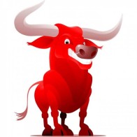 R Bull E liquid IRELAND