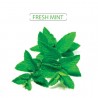 MINT E LIQUID 10 ML
